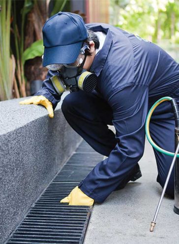 Comprehensive Pest Control Services: A Necessity for Businesses